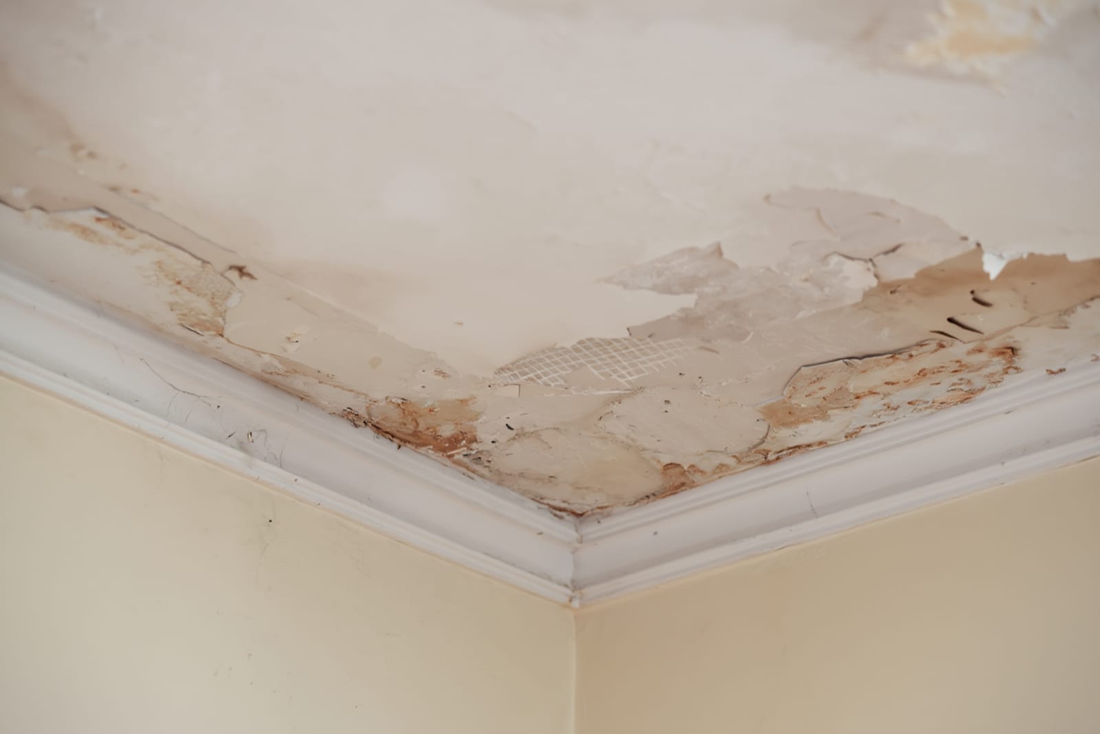 Water-stained ceiling with brown discoloration and sagging drywall in Austin home