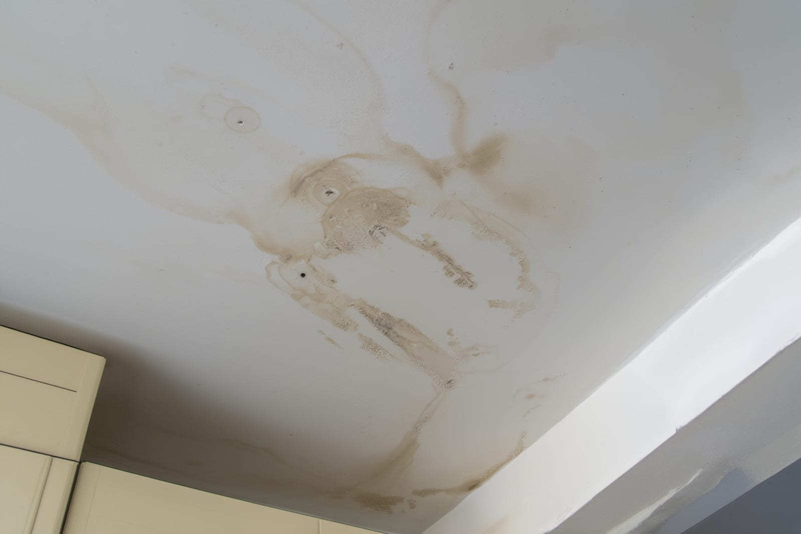 Yellowish-brown water stain with tide-line ring on a white ceiling — classic discoloration from water intrusion