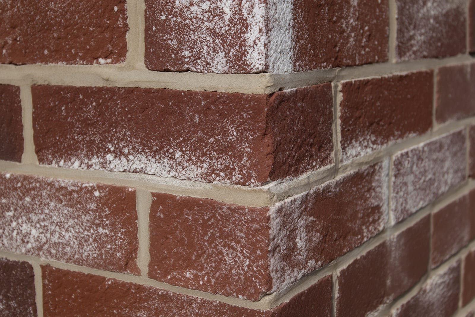 White chalky efflorescence deposits on a concrete block wall caused by moisture migration