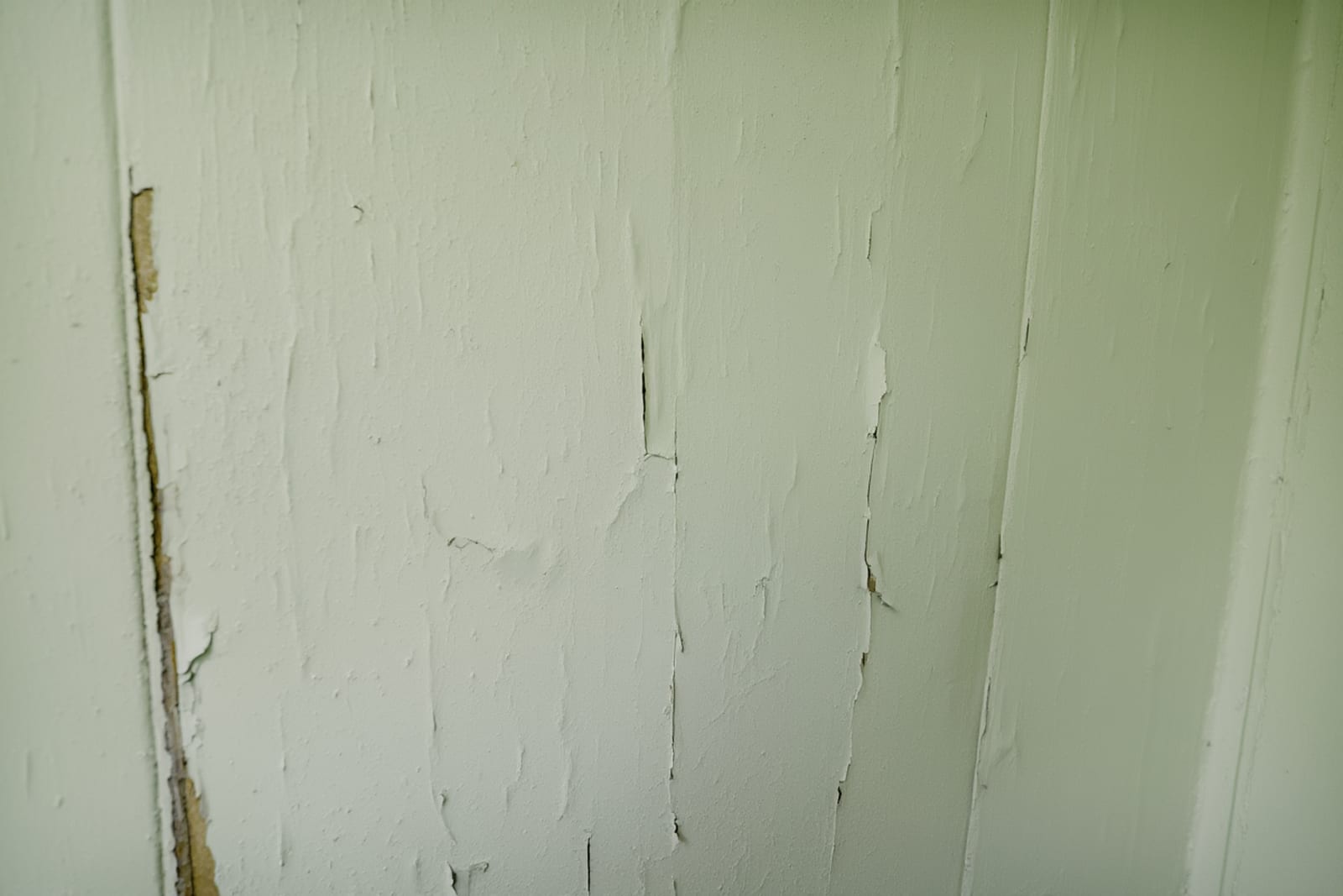 Warped and buckled drywall showing visible bowing from moisture absorption
